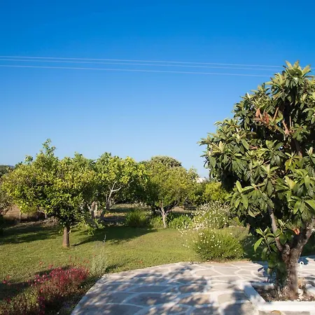 Livadi House Theológos