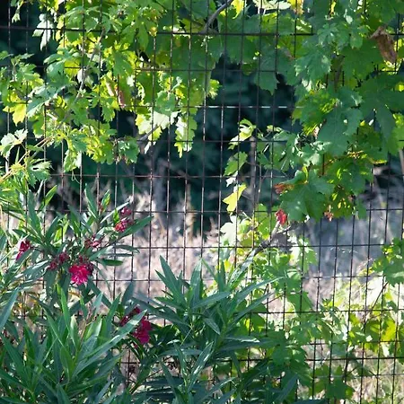 Nyaraló Livadi House