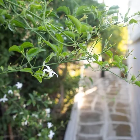 Livadi House Nyaraló