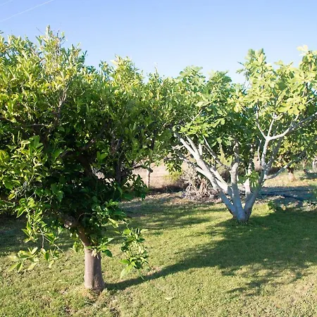 Prázdninový dům Livadi House *