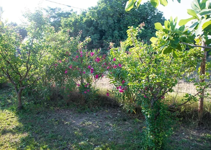 Livadi House Casa vacanze Theológos