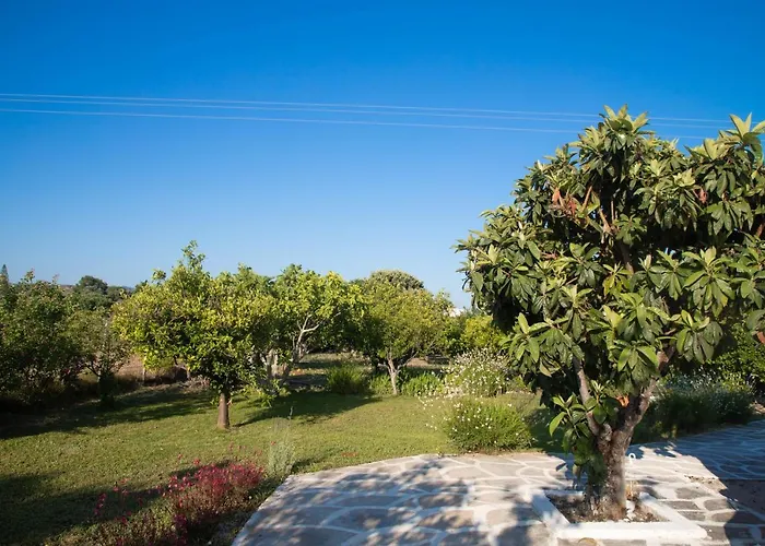 Livadi House Theológos