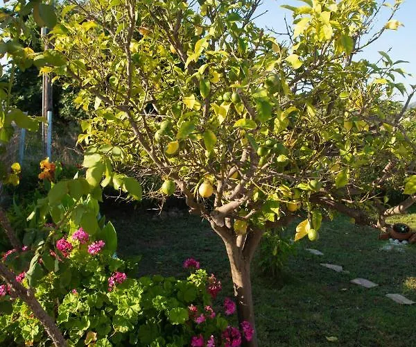 Livadi House Casa vacanze Theológos