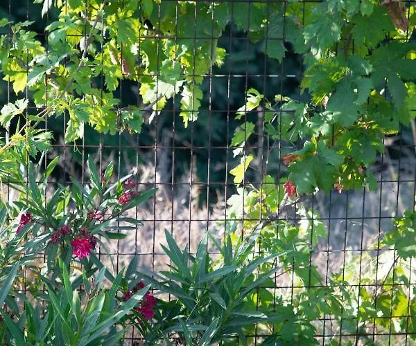 بيت للعطل Livadi House