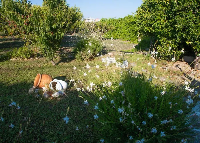 Livadi House بيت للعطل *