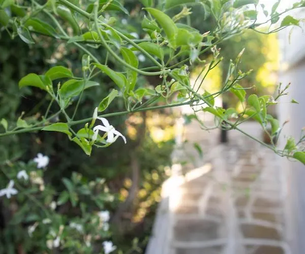 Livadi House Casa vacanze