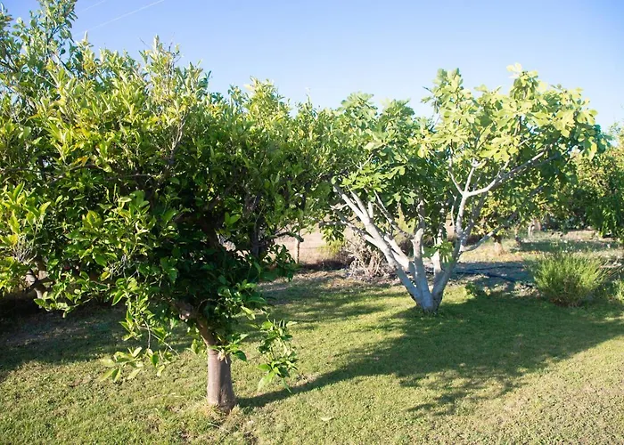 Casa vacanze Livadi House *