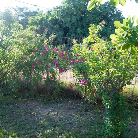 Livadi House 別荘 Theológos