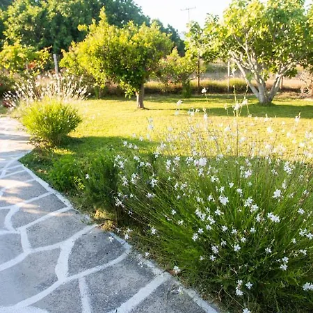Livadi House Semesterbostad
